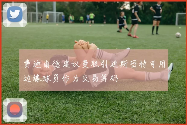 费迪南德建议曼联引进斯密特可用边缘球员作为交易筹码
